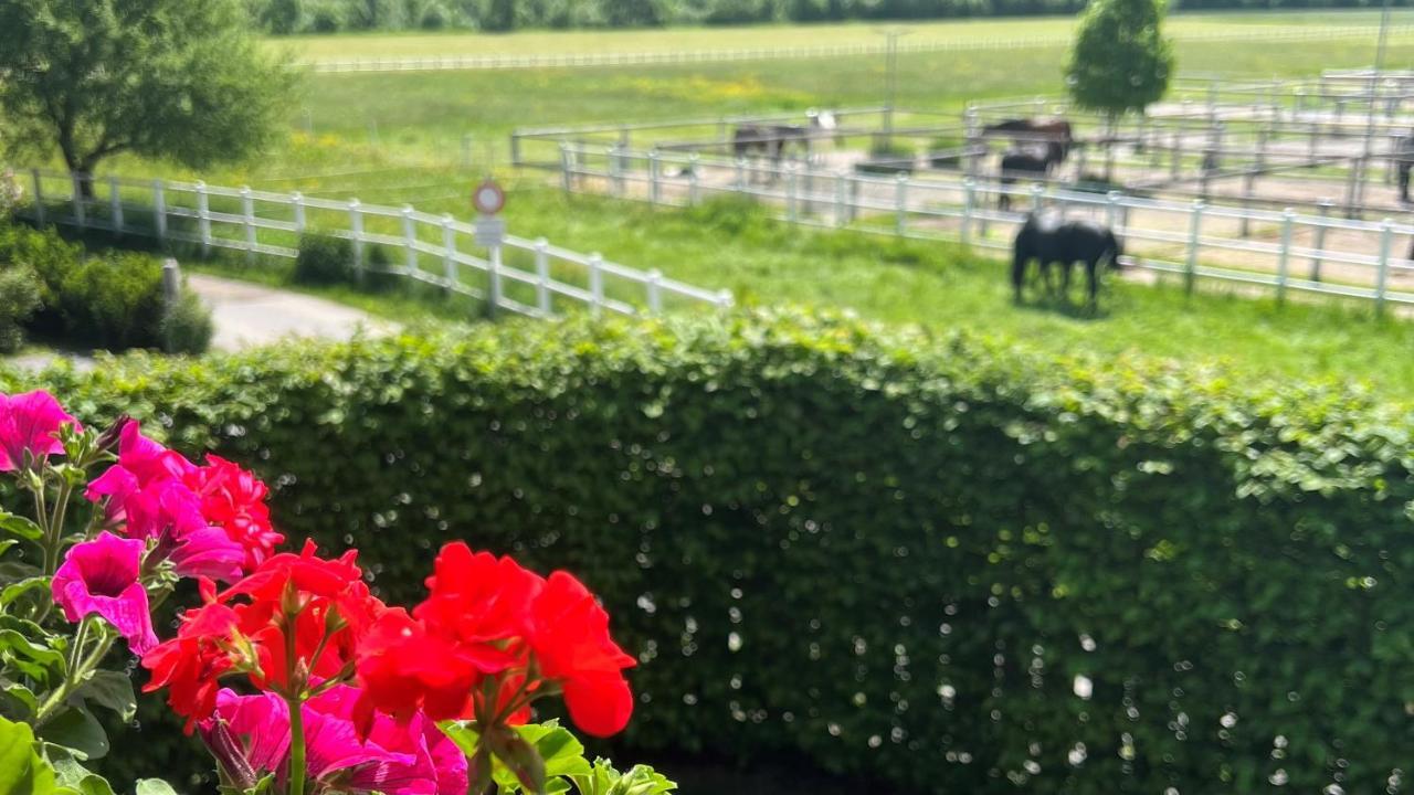Villa Rosa-Panorama App Haslach 外观 照片